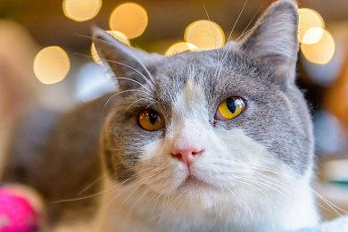 顽皮狗总裁：我们不会变成只开发《最后的生还者》的工作室 多个项目制作中